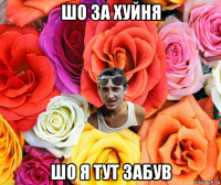 шо за хуйня шо я тут забув