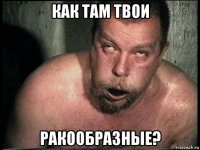 как там твои ракообразные?