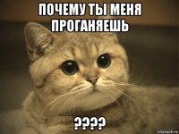 почему ты меня проганяешь ????