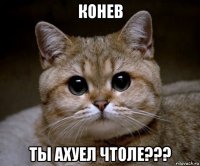 конев ты ахуел чтоле???