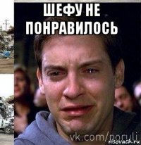 шефу не понравилось 