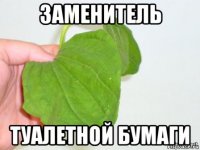 заменитель туалетной бумаги