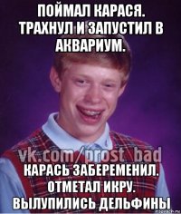 поймал карася. трахнул и запустил в аквариум. карась забеременил. отметал икру. вылупились дельфины