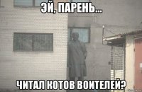  читал котов воителей?