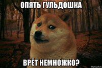 опять гульдошка врёт немножко?