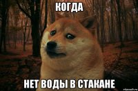 когда нет воды в стакане