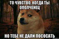 то чувство, когда ты ополченец но тебе не дали пососать