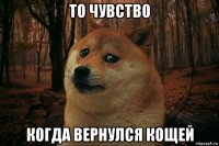 то чувство когда вернулся кощей