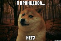 я принцесса... нет?