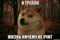 я трепло жизнь ничему не учит