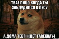 твае лицо когда ты заблудился в лесу а дома тебя ждет farekray4