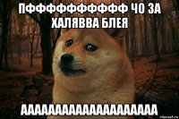 пфффффффффф чо за халявва блея аааааааааааааааааааа