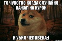 то чувство когда случайно нажал на курок и убил человека:(