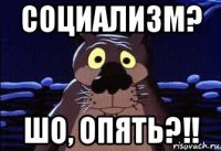 социализм? шо, опять?!!
