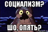 социализм? шо, опять?