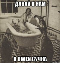 давай к нам в owen сучка