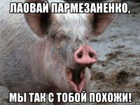 лаовай пармезаненко, мы так с тобой похожи!