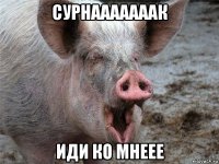 сурнааааааак иди ко мнеее