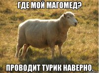 где мой магомед? проводит турик наверно.