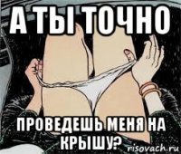 а ты точно проведешь меня на крышу?