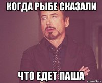 когда рыбе сказали что едет паша