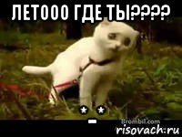 летооо где ты???? *-*