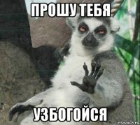 прошу тебя узбогойся