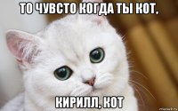 то чувсто когда ты кот, кирилл, кот