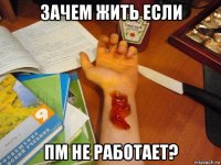 зачем жить если пм не работает?