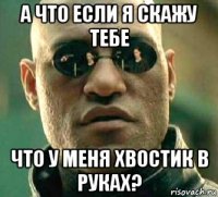 а что если я скажу тебе что у меня хвостик в руках?