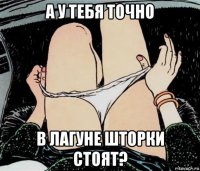 а у тебя точно в лагуне шторки стоят?