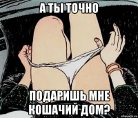 а ты точно подаришь мне кошачий дом?