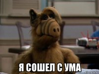  я сошел с ума
