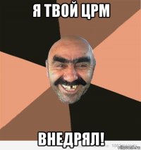 я твой црм внедрял!