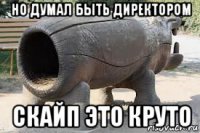 но думал быть директором скайп это круто