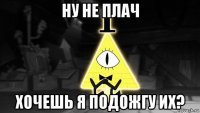 ну не плач хочешь я подожгу их?