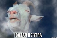  встал в 7 утра