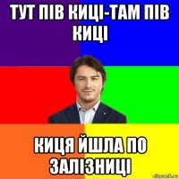 тут пів киці-там пів киці киця йшла по залізниці