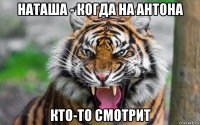 наташа - когда на антона кто-то смотрит