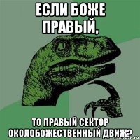 если боже правый, то правый сектор околобожественный движ?