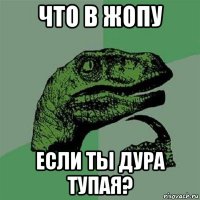 что в жопу если ты дура тупая?