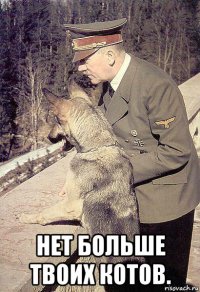  нет больше твоих котов.