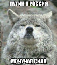 путин и россия мочучая сила