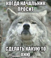 когда начальник просит сделать какую то хню