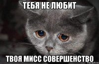 тебя не любит твоя мисс совершенство