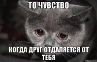 то чувство когда друг отдаляется от тебя