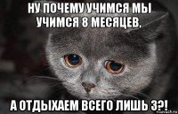 ну почему учимся мы учимся 8 месяцев, а отдыхаем всего лишь 3?!