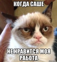 когда саше не нравится моя работа