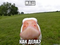 маш как дела?