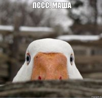 Пссс. Маша 